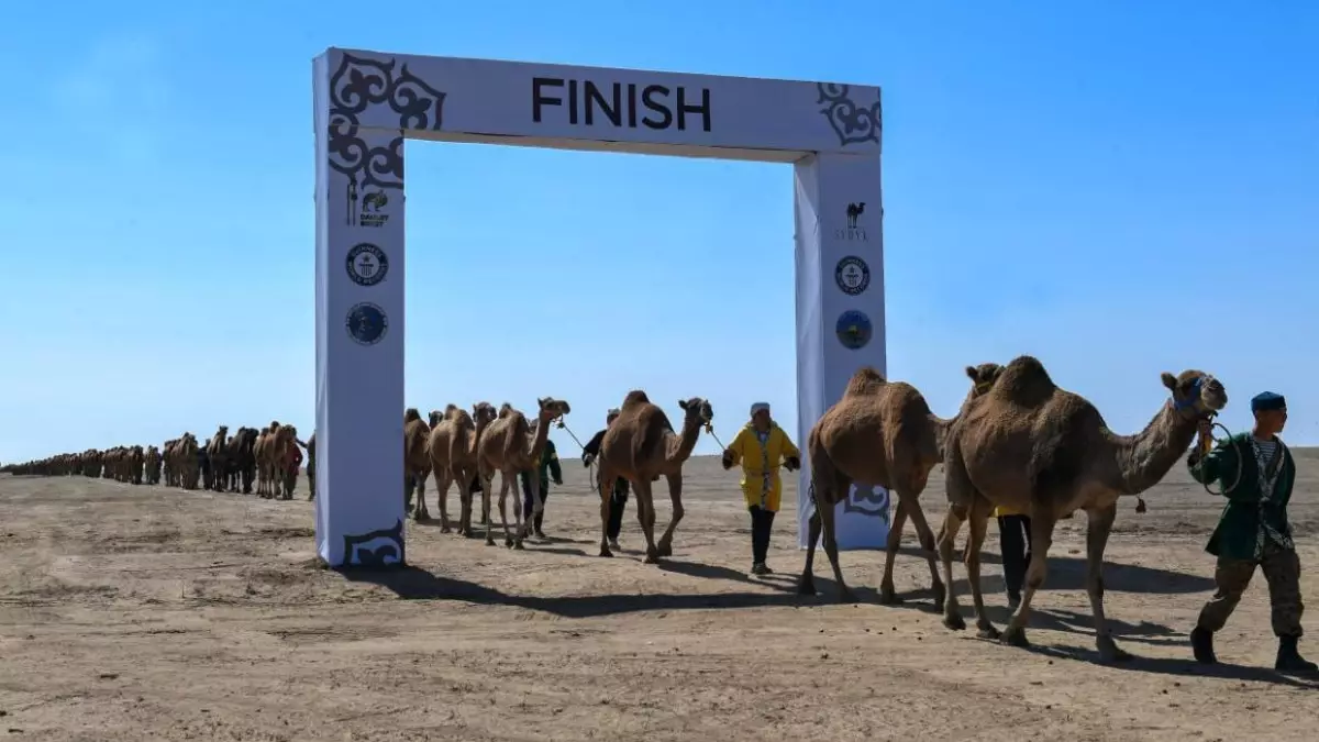 Алматинская область вошла в топ-3 в стране по развитию туризма