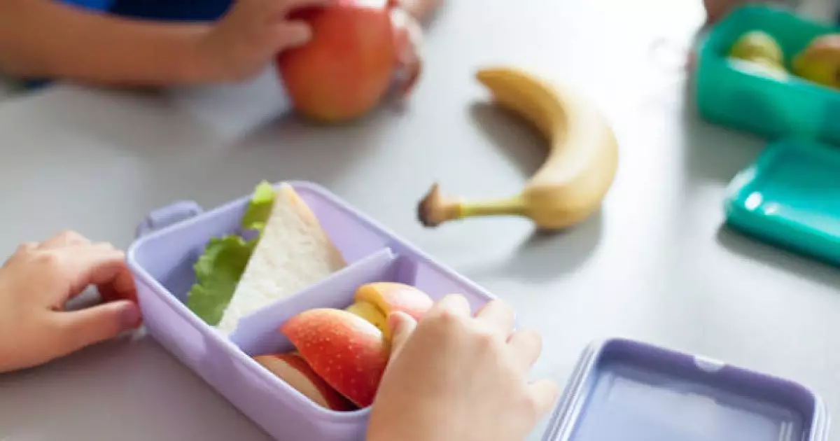  Бала кезде дұрыс тамақтанбау ми жұмысына әсер етуі мүмкін – зерттеу 