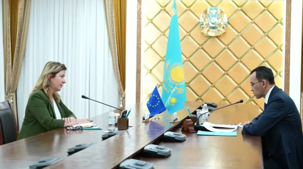 Проект новой Конституции: защита прав человека и укрепление партнёрства с ЕС