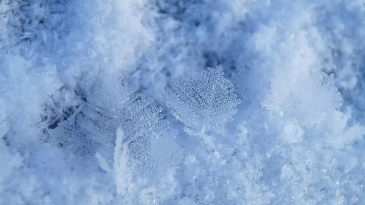 Мороз до –41 и метели: штормовое предупреждение объявлено в 14 регионах Казахстана
