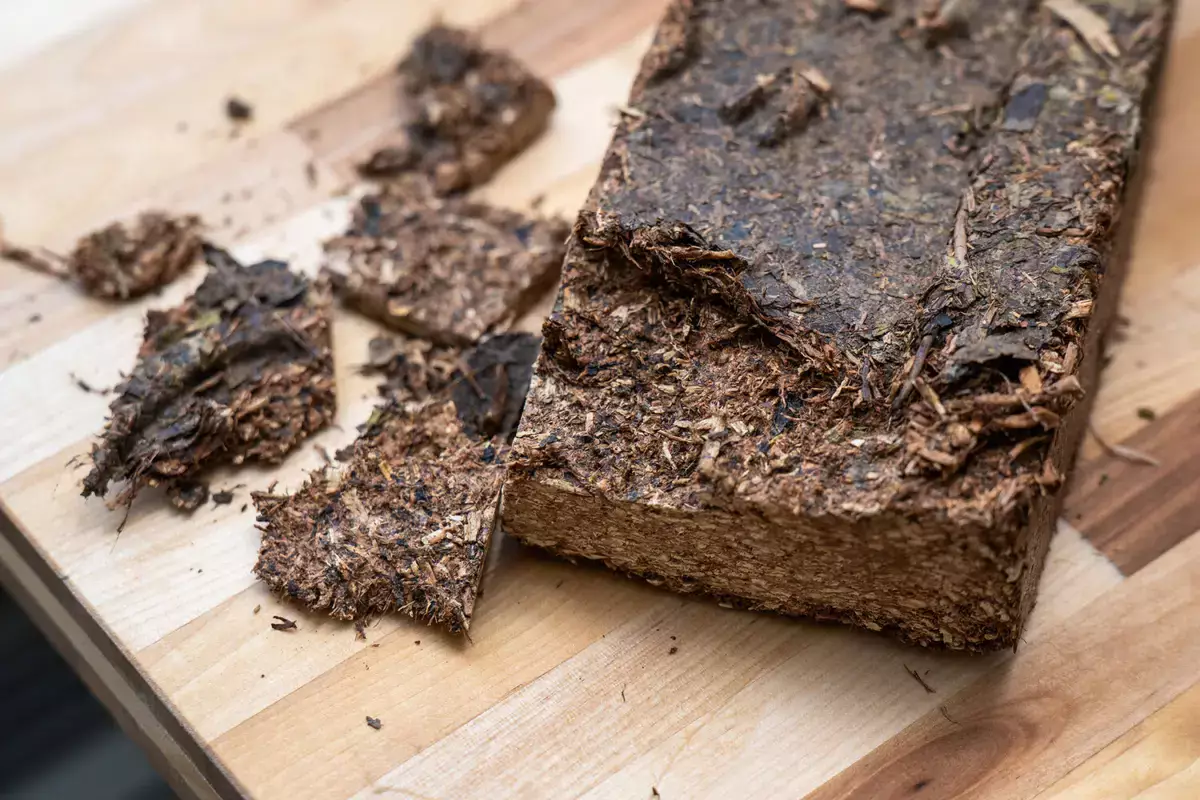 Назван напиток, снижающий накопление жира в организме - новости на Lada.kz 26.02.2026