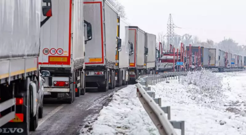 Более 400 фур застряли на границе с Россией в ЗКО