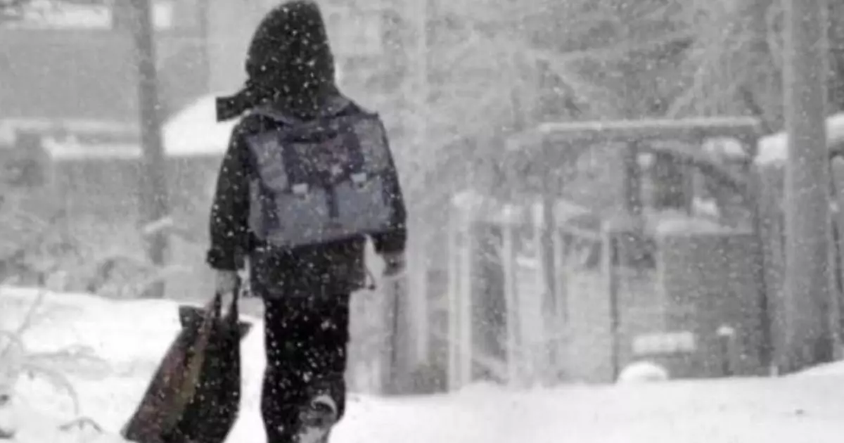  В Астане из-за холодов отменили очные занятия школьникам и студентам 