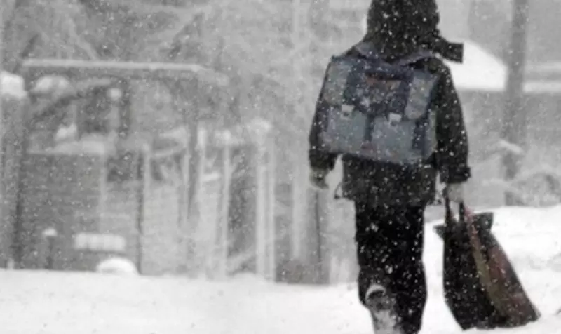 В Астане школы перевели на дистанционку