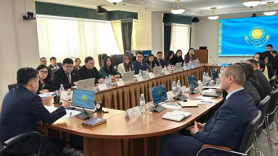 В Минтруда обсудили цифровизацию и инклюзивную политику с экспертами «Талдау мектебі»