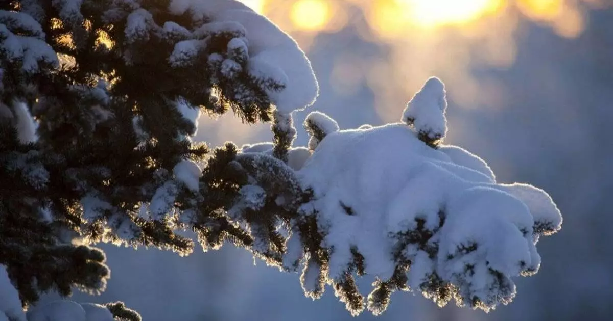 Прогноз погоды на 27 февраля: Казахстан накрывают морозы до -37°C 