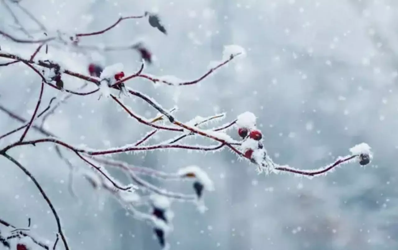 Морозы, туман и гололед: прогноз погоды на 27 февраля