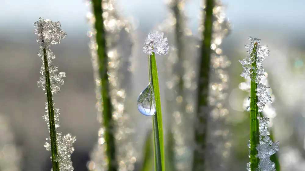 Температурный рекорд 51-летней давности побит в Казахстане