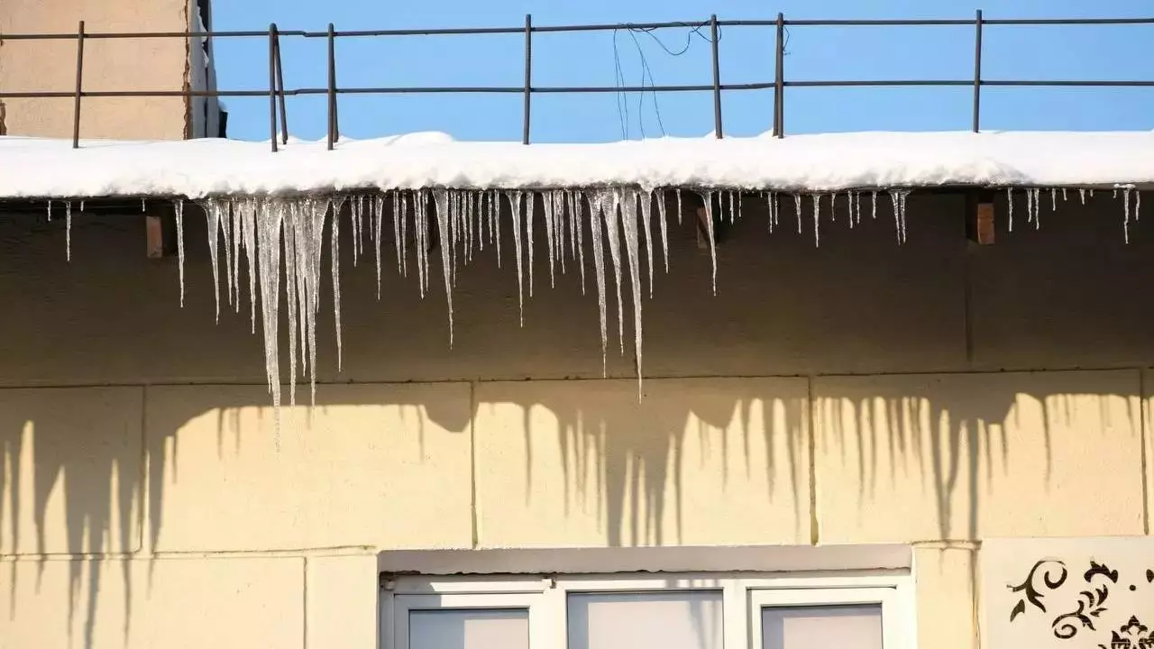 Сүңгі құлап көлігіңізді бүлдірді ме: өтемақы алу жолы белгілі болды