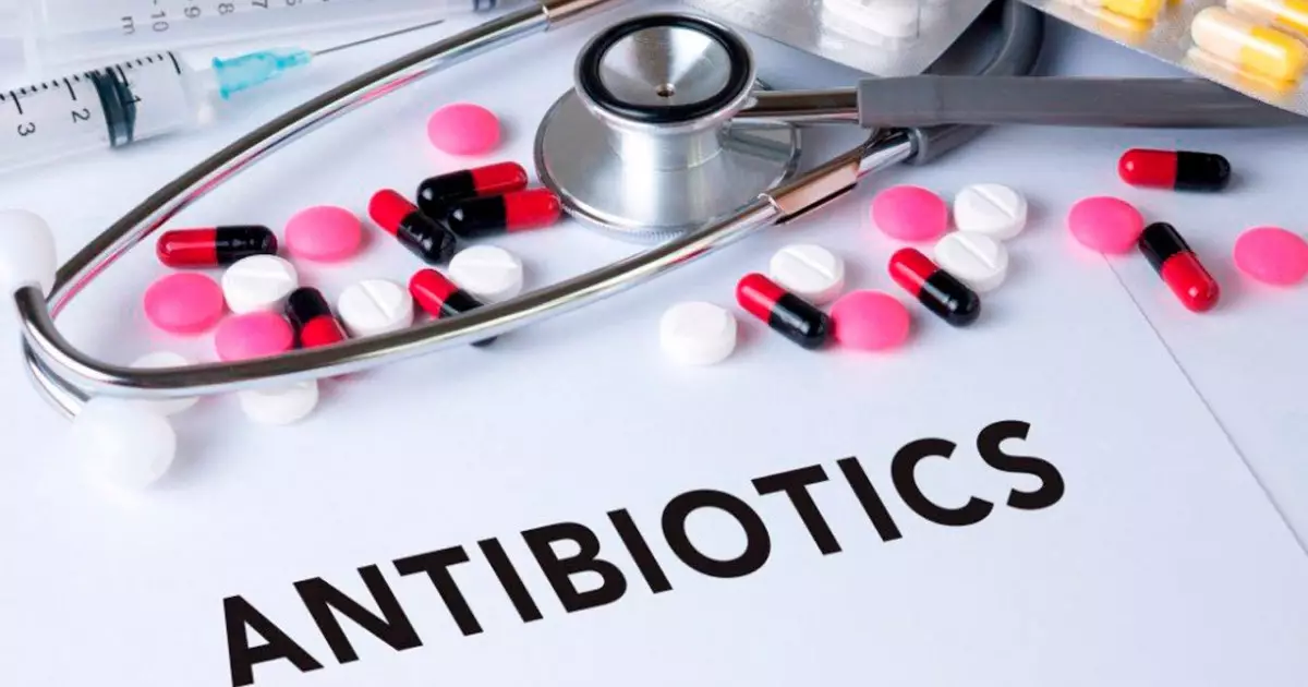  Абайла, антибиотик!.. 