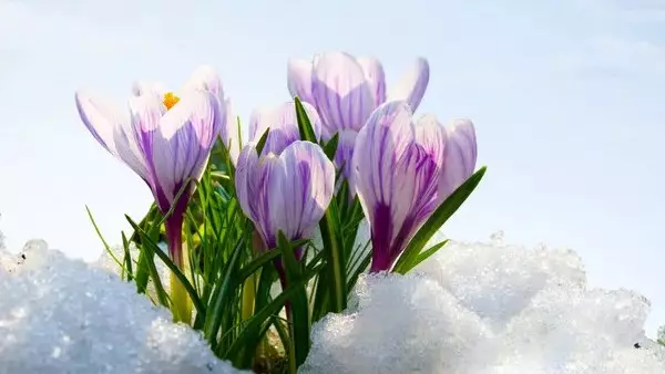 Қазақстанда күн жылынады