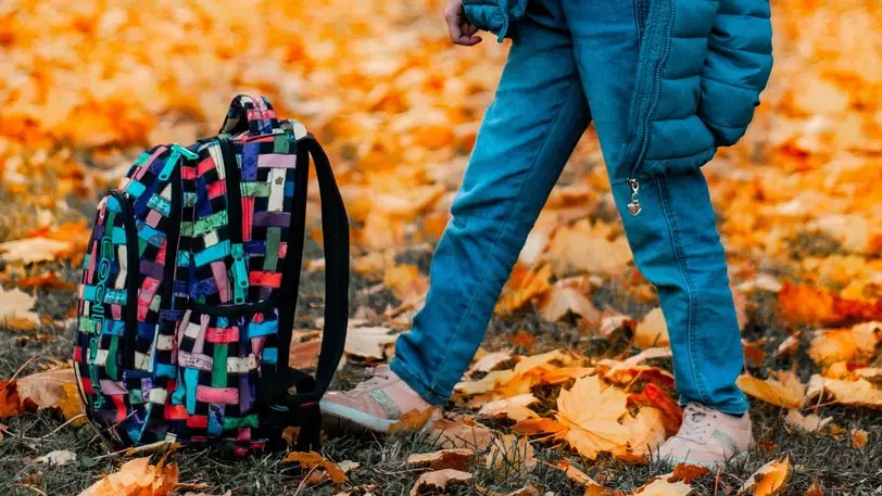 Ақтөбе облысында оқушы жүкті болып қалған: Қылмыстық іс қозғалды