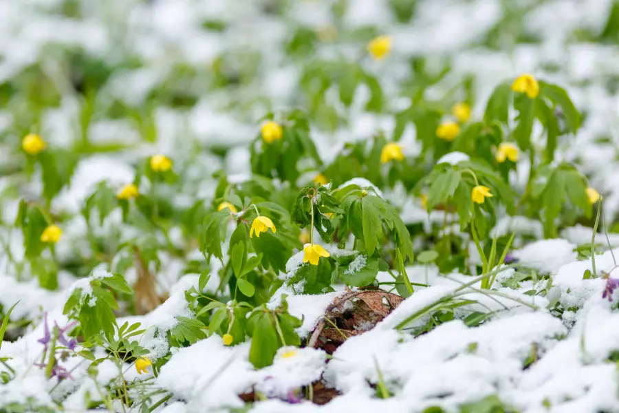 Демалыс күндері ауа райы қандай болады? 