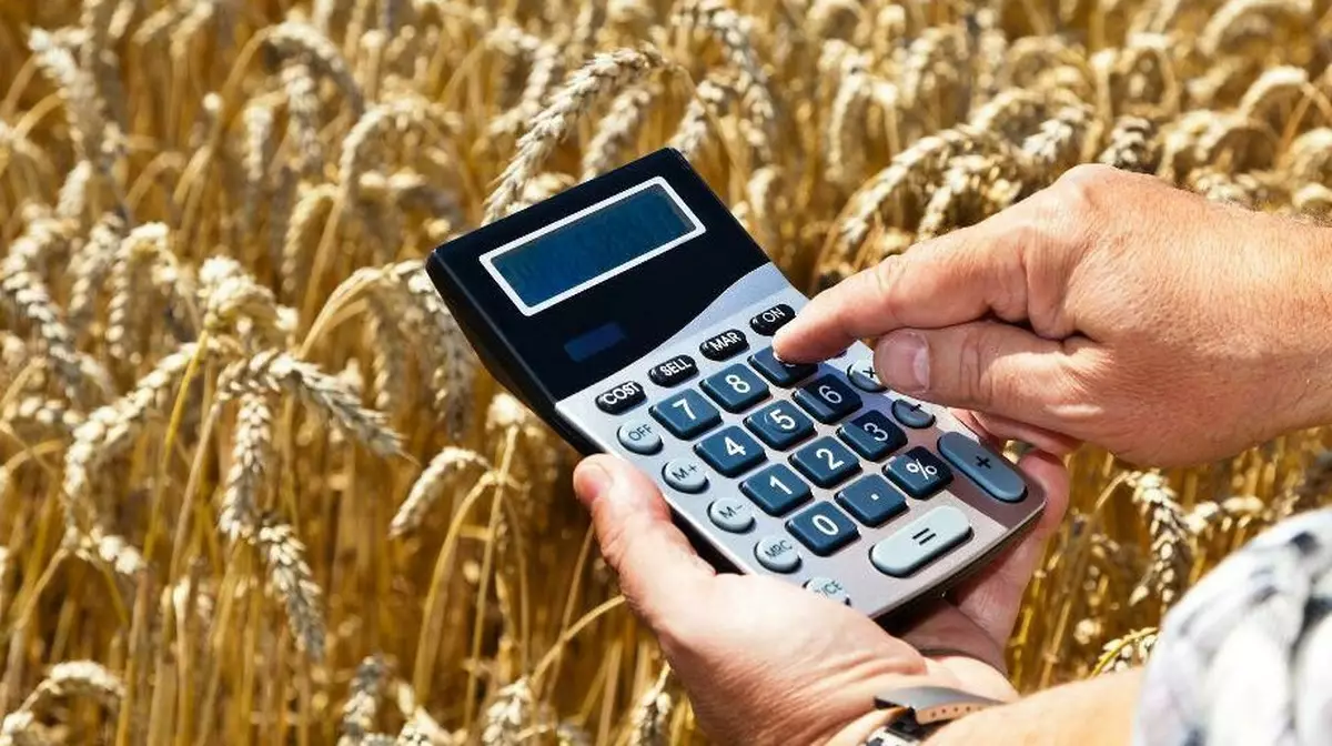 Инвестиции в АПК Казахстана резко выросли: переработка впервые обогнала сельское хозяйство