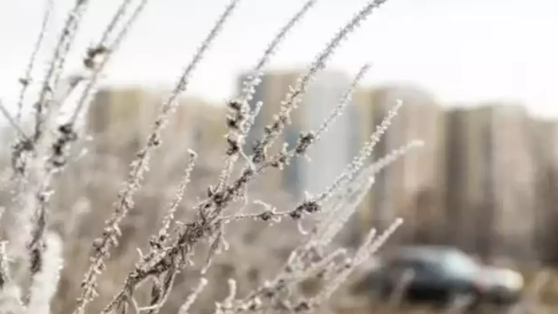 Демалыс күндері еліміздің басым бөлігінде аяз болады