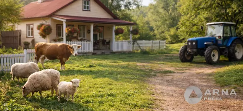 Абай облысында "Қаладан ауылға" жобасына арналған сайт ашылады