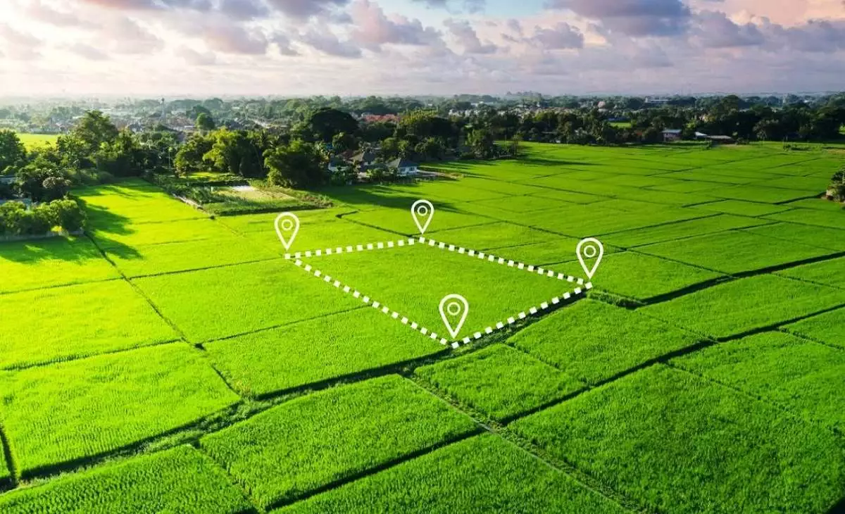 Қазақстанда енді жер телімдерін онлайн түрде жалға және сатып алуға болады