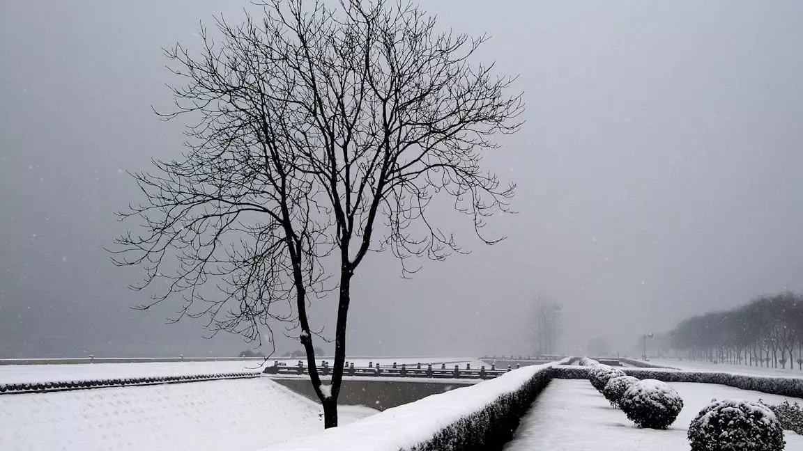 "Қар, тұман, көктайғақ". Сенбіде бірнеше өңірде дауылды ескерту жарияланды