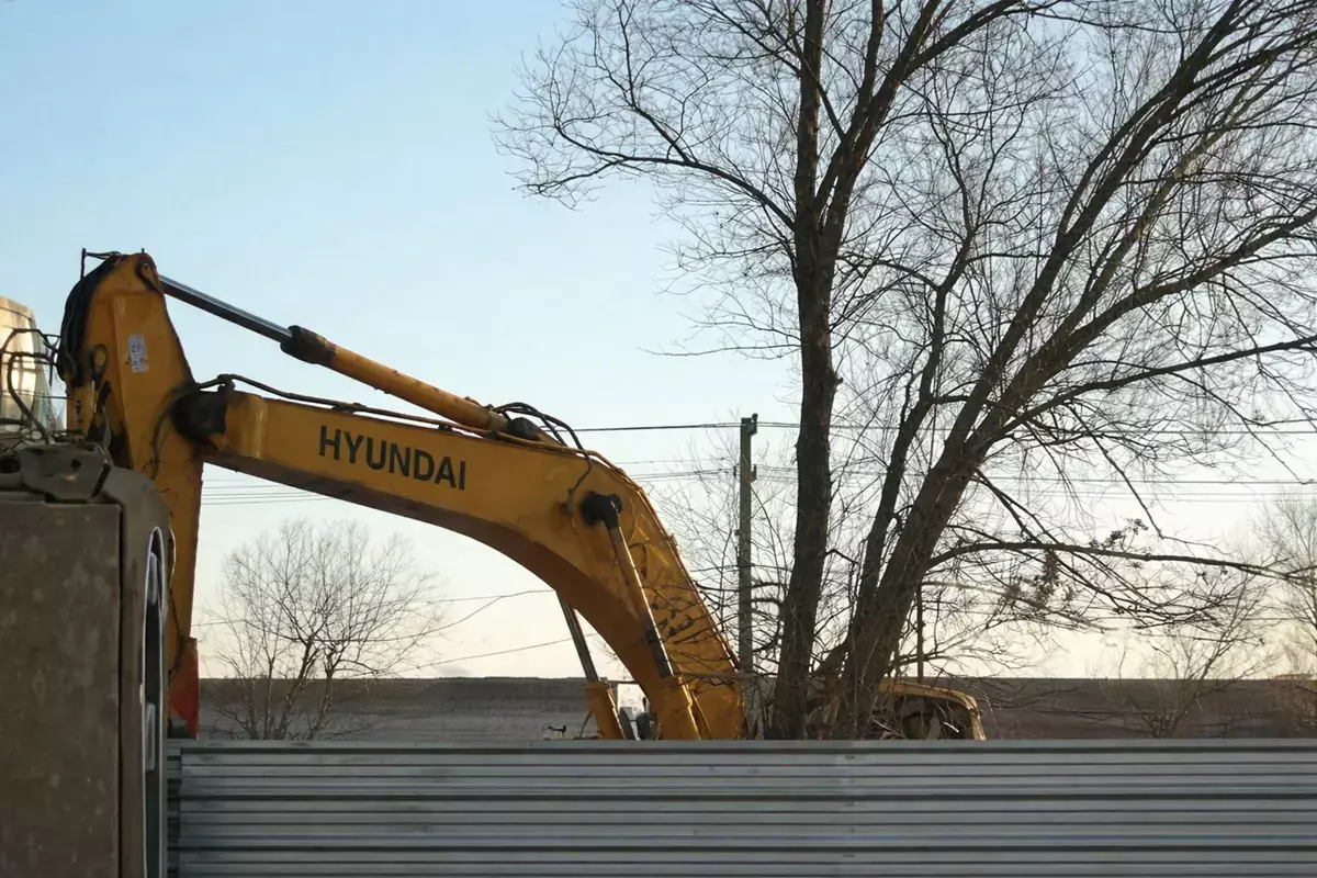 Дерево высотой в несколько этажей уничтожили у вокзала в Мангистау - новости на Lada.kz 27.02.2026