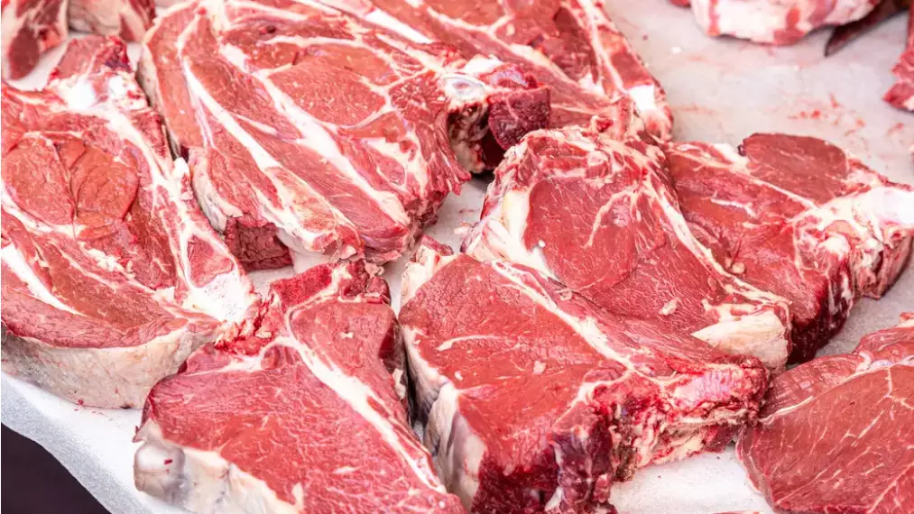 Шымкентте 75 жастағы азаматтан сібір жарасы анықталды