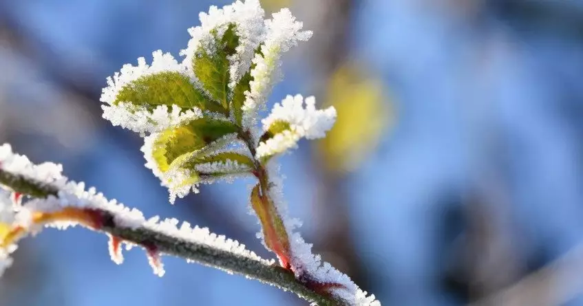 Зима держит Казахстан в морозах, потепление придет только со 2 марта.