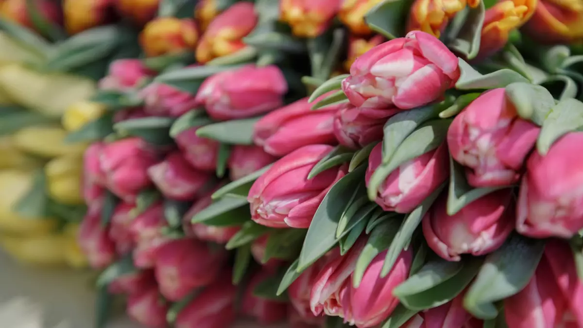 Как казахстанцы отдохнут в марте