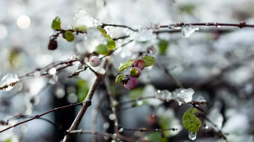 Наурыз айында елімізде ауа райы қандай болады?