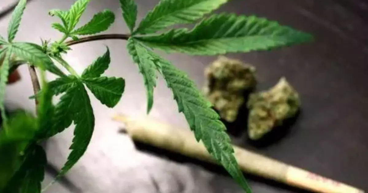  Военнослужащий Погранслужбы КНБ хранил марихуану в сапоге 