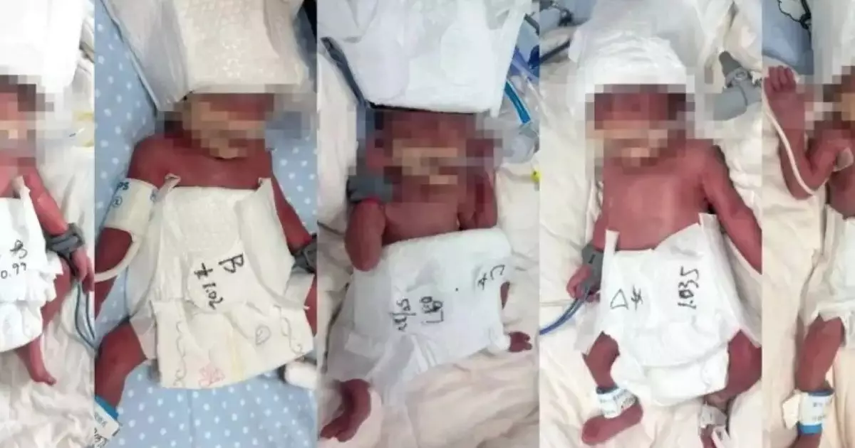  Сүйінші, ағайын! Бала сүйе алмай жүрген 24 жастағы келіншек бірден 5 сәбиді дүниеге әкелді 