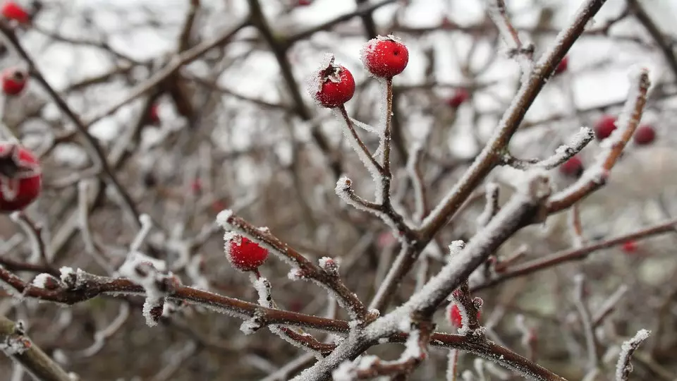 Каким будет первый месяц весны в Казахстане, рассказали синоптики