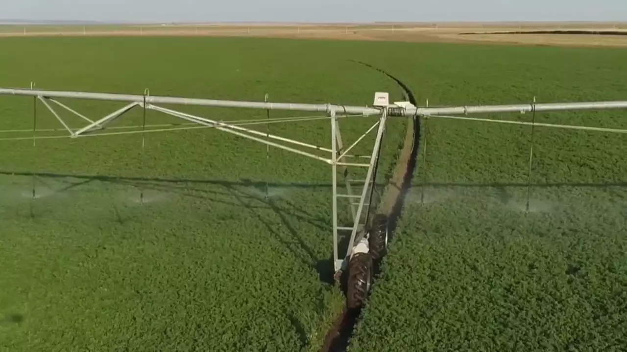 Ақтөбе облысында 865 мың гектар жерге дән себіледі