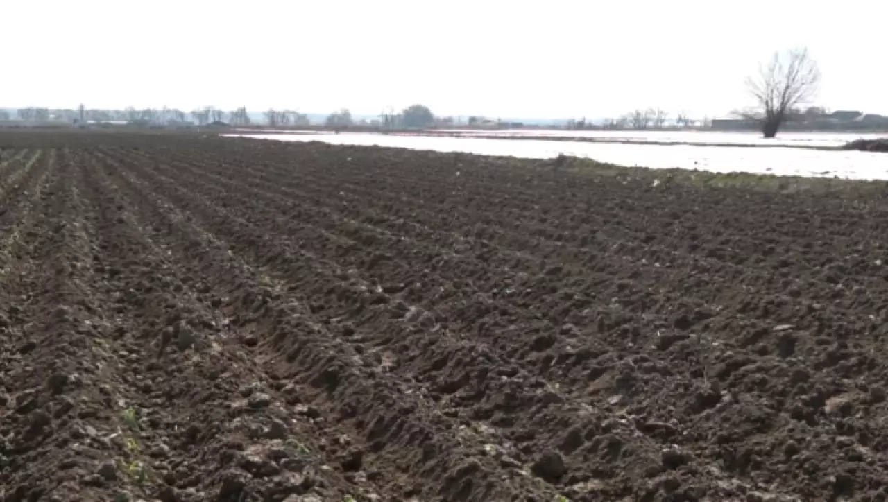 Посевная стартовала в Туркестанской области