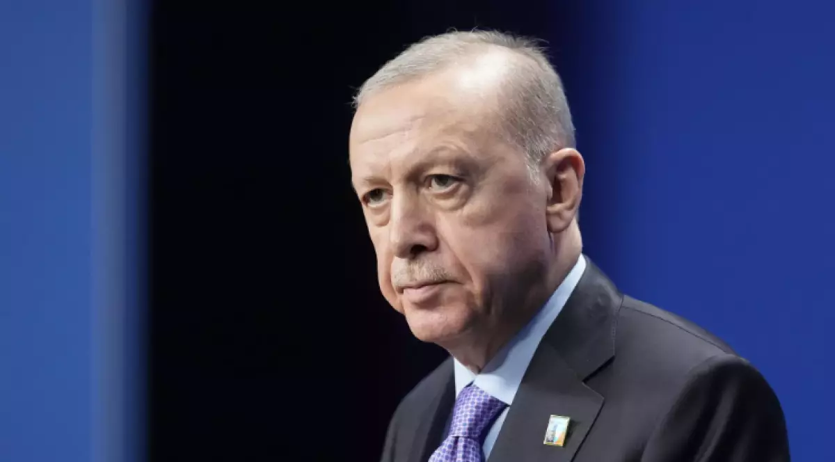 Ердоған Таяу Шығыстағы ахуал бойынша үн қатты