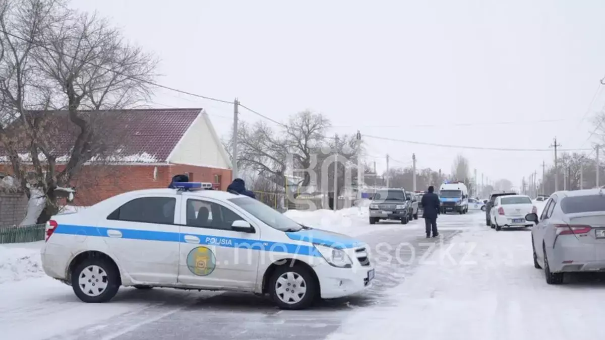 «Ата-анасы мен қарындасын өлтіріп, бөлшектеп тастаған»: Астана маңындағы ауылда жантүршігерлік қылмыс болды