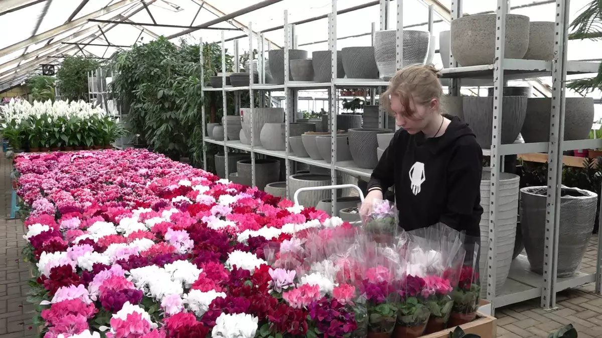 Nicole: елдегі ең ірі бақшада екі мыңға жуық бөлме өсімдік түрі дайындалды