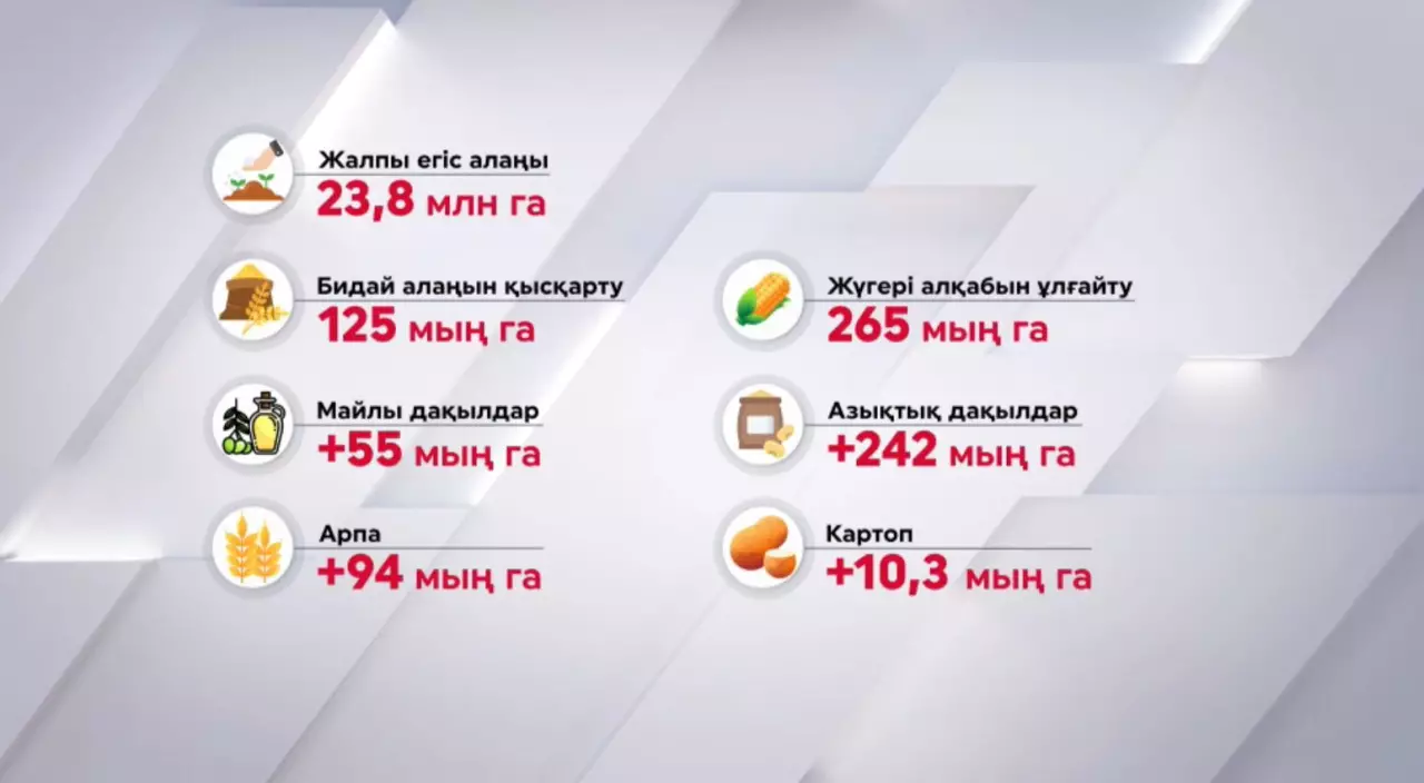 Биылғы егіс науқанында өнімділігі жоғары дақылдар алқабы ұлғаяды