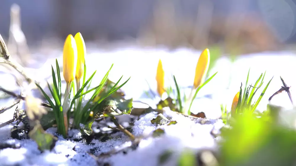 3 наурызда Қазақстанда ауа райы қандай болады? Синоптиктер болжамы