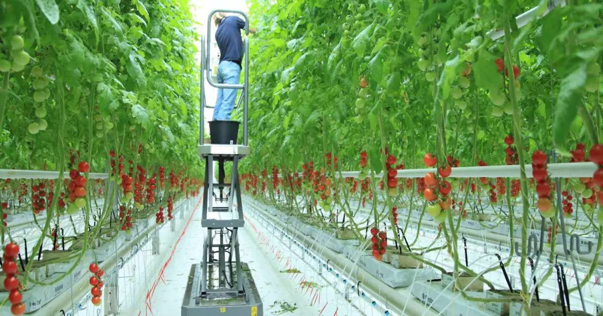  Коалиция мүшелері Алатауда жылыжай ұжымымен референдум туралы талқылады 