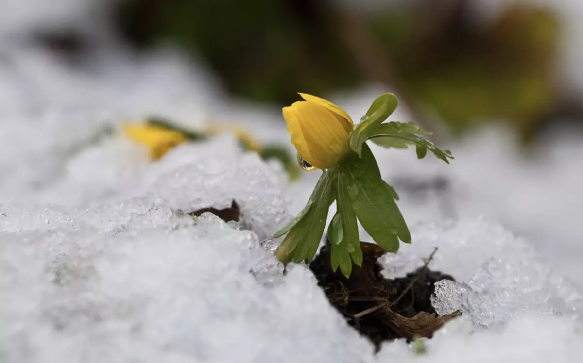 «Көктайғақ, тұман, боран»: Қазақстанның басым бөлігінде дауылды ескерту жарияланды