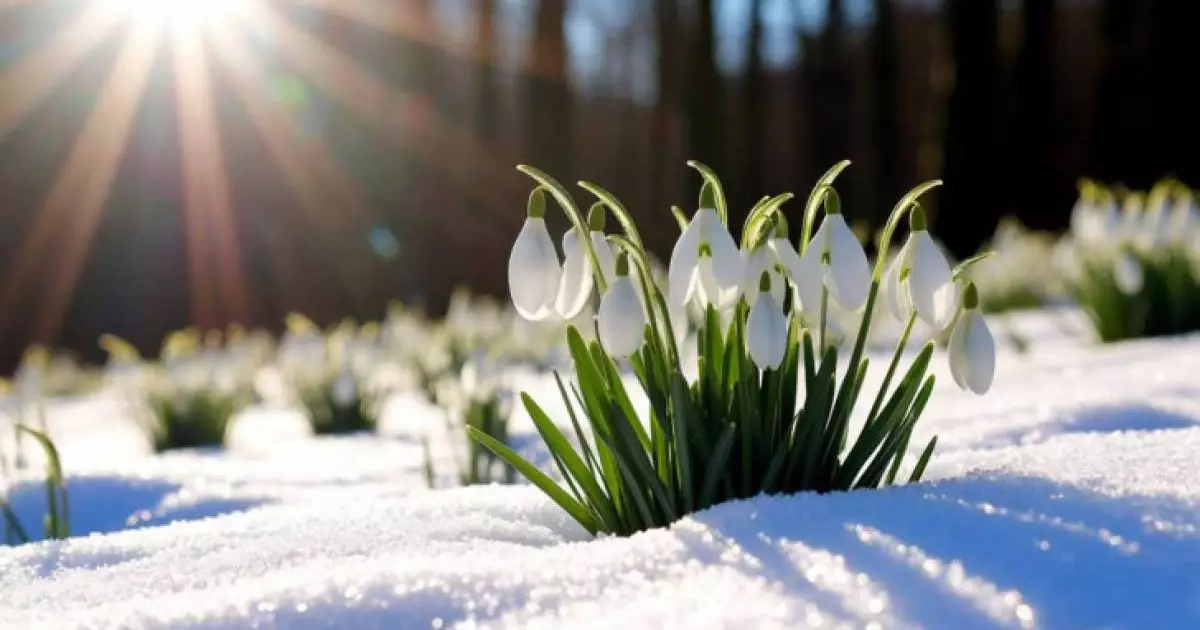  Прогноз погоды на 3 марта: снег и потепление 