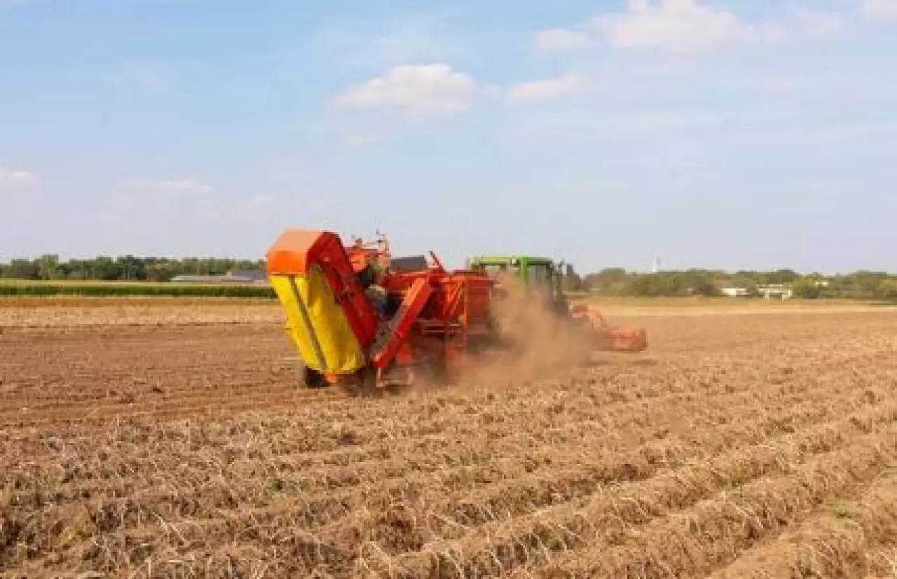 Аграрии увеличат посевы кормовых и масличных культур