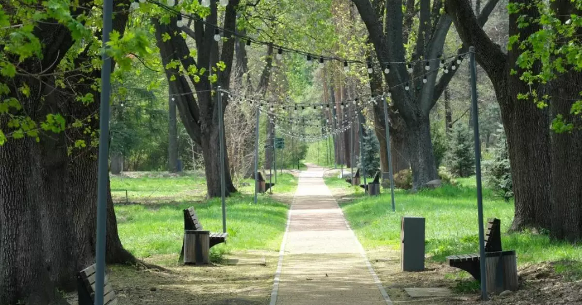   Алматыда 2030 жылға дейін дендрологиялық жоспар әзірленеді   