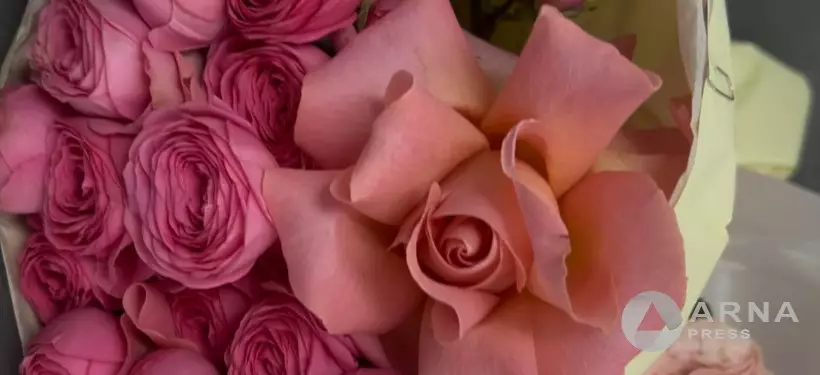 8 наурыз мерекеге орай гүлдер қай елдерден тасымалданатыны белгілі болды