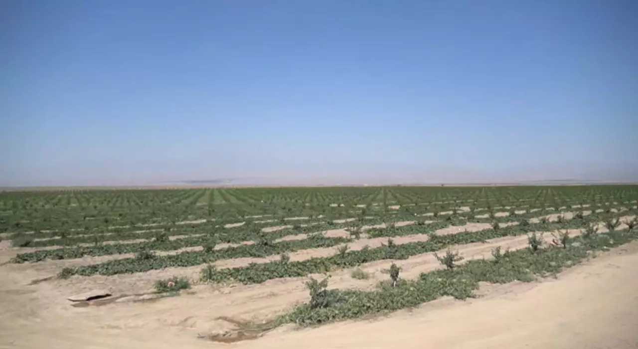 Орталық Азияда климаттың өзгеру қаупі жоғары