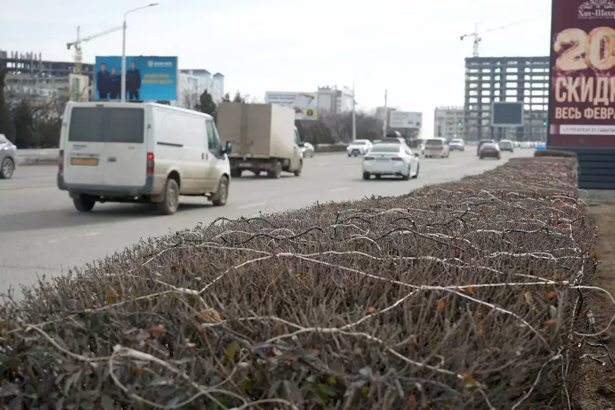 Праздник затянулся: почему иллюминацию не демонтировали в Актау - новости на Lada.kz 03.03.2026