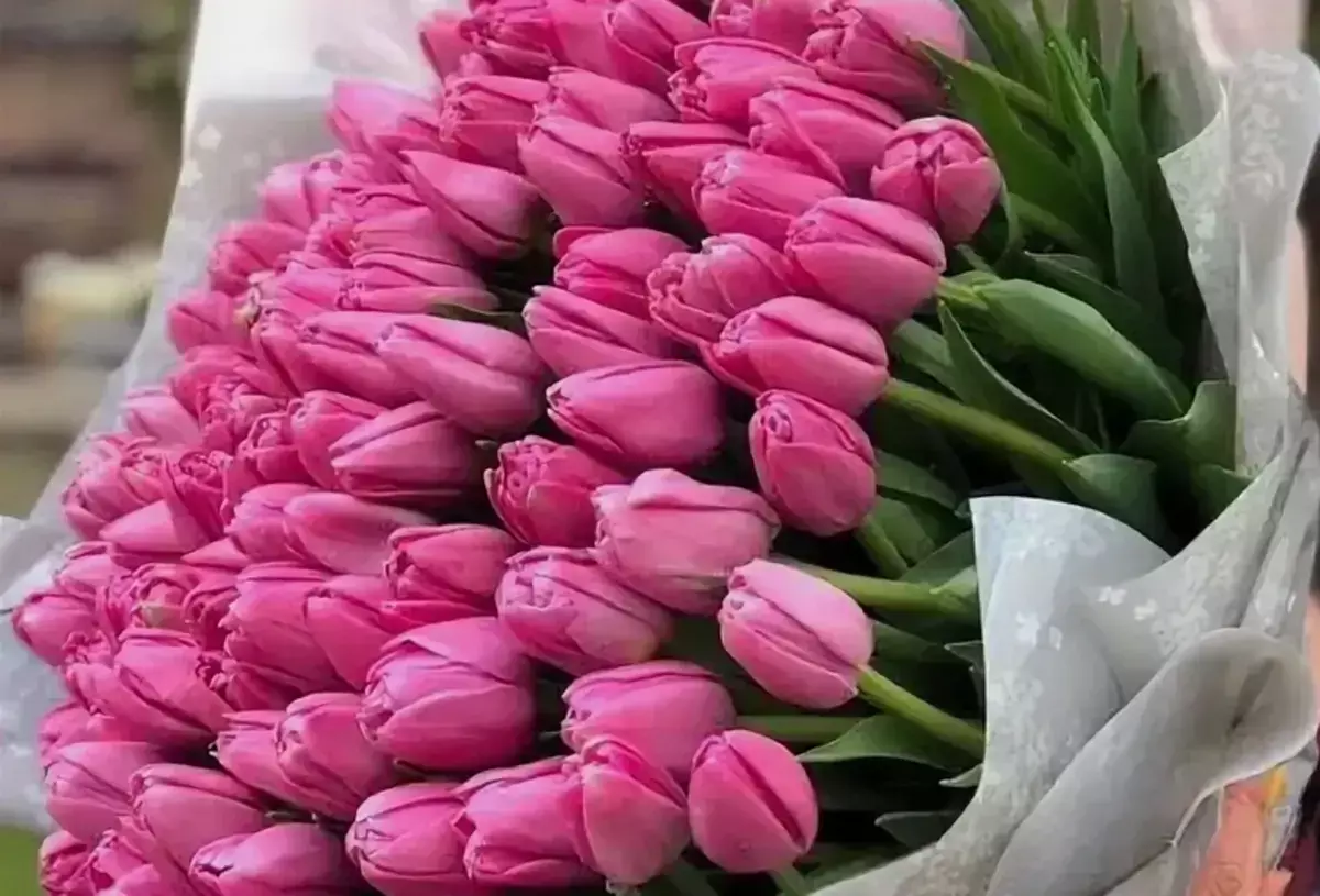 Что нужно знать о переносе праздничных дней на Наурыз и 8 Марта в Казахстане - новости на Lada.kz 03.03.2026