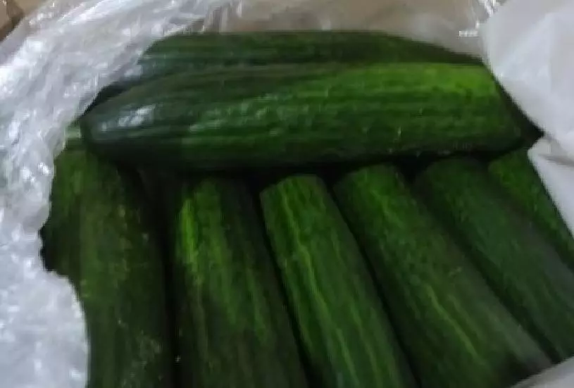 Импорт свежих огурцов из Казахстана в Пермский край увеличился в четыре раза