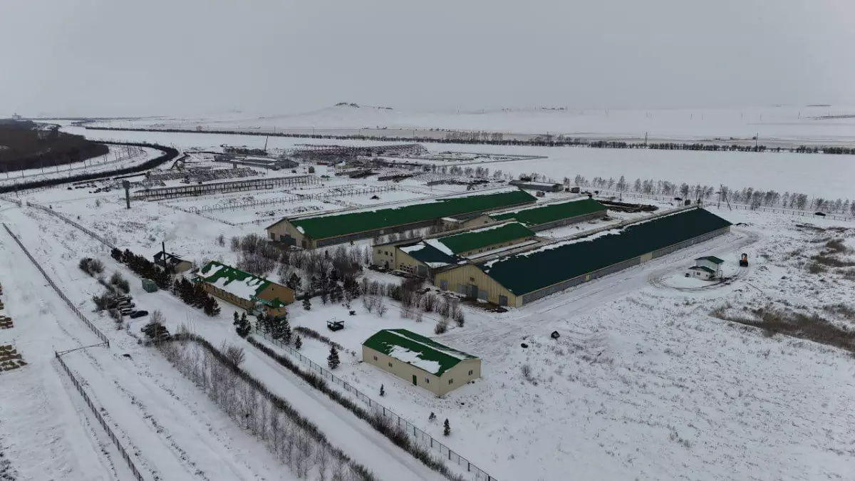 Крупную молочно-товарную ферму построят в Акмолинской области