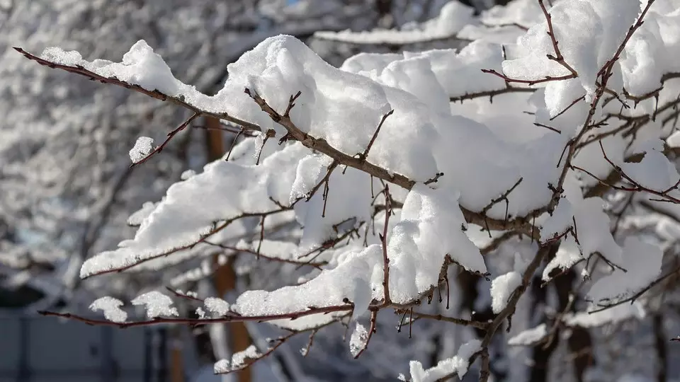 Штормовое предупреждение объявили почти на всей территории Казахстана