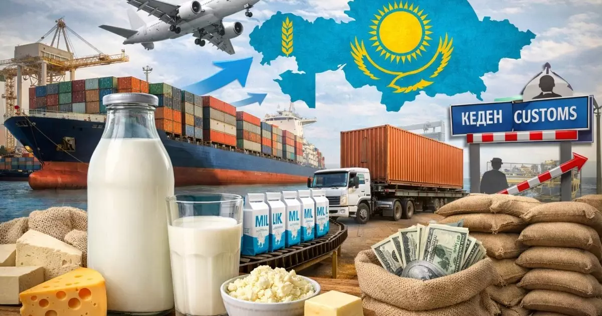  Сүт импорты: отандық нарық неге Ресейдің `сауын сиырына` айналды? 
